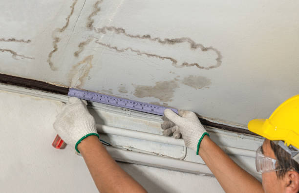 Reliable Water Damage contractor in Mesquite, TX by Water Damage Irwin